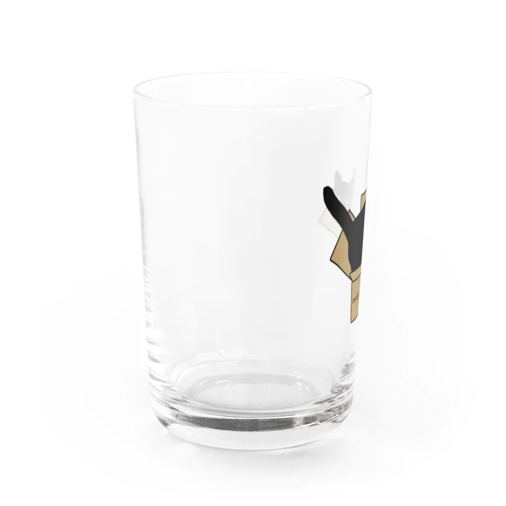 小鳥と映画館の黒猫と段ボール Water Glass :left