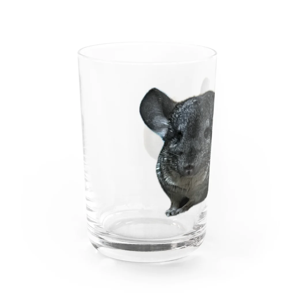 動物クラブのチンチラグッズ Water Glass :left