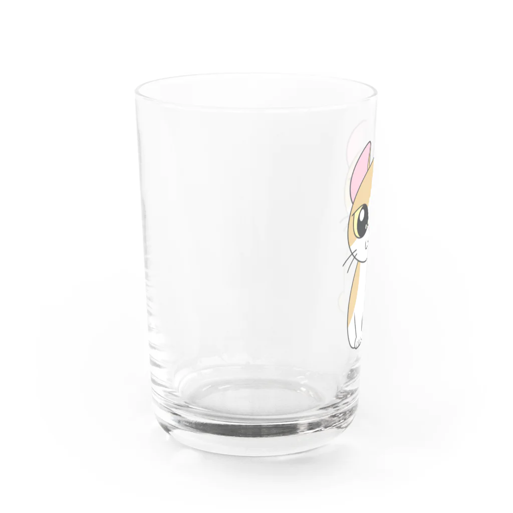 おりょうのネコちゃんグッズのかわいいアメリカンカール② Water Glass :left
