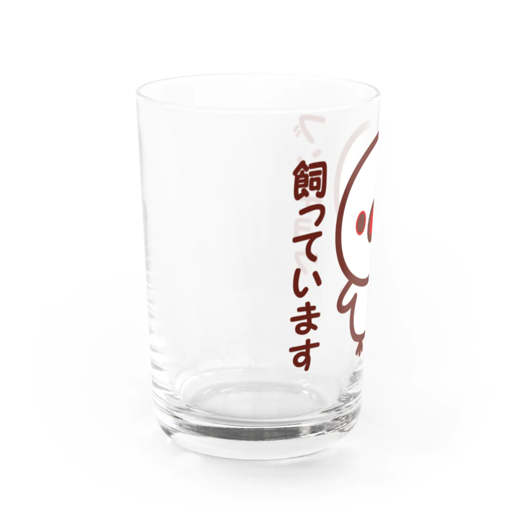 いんこ屋堂のブンチョウ飼っています（白文鳥） Water Glass :left