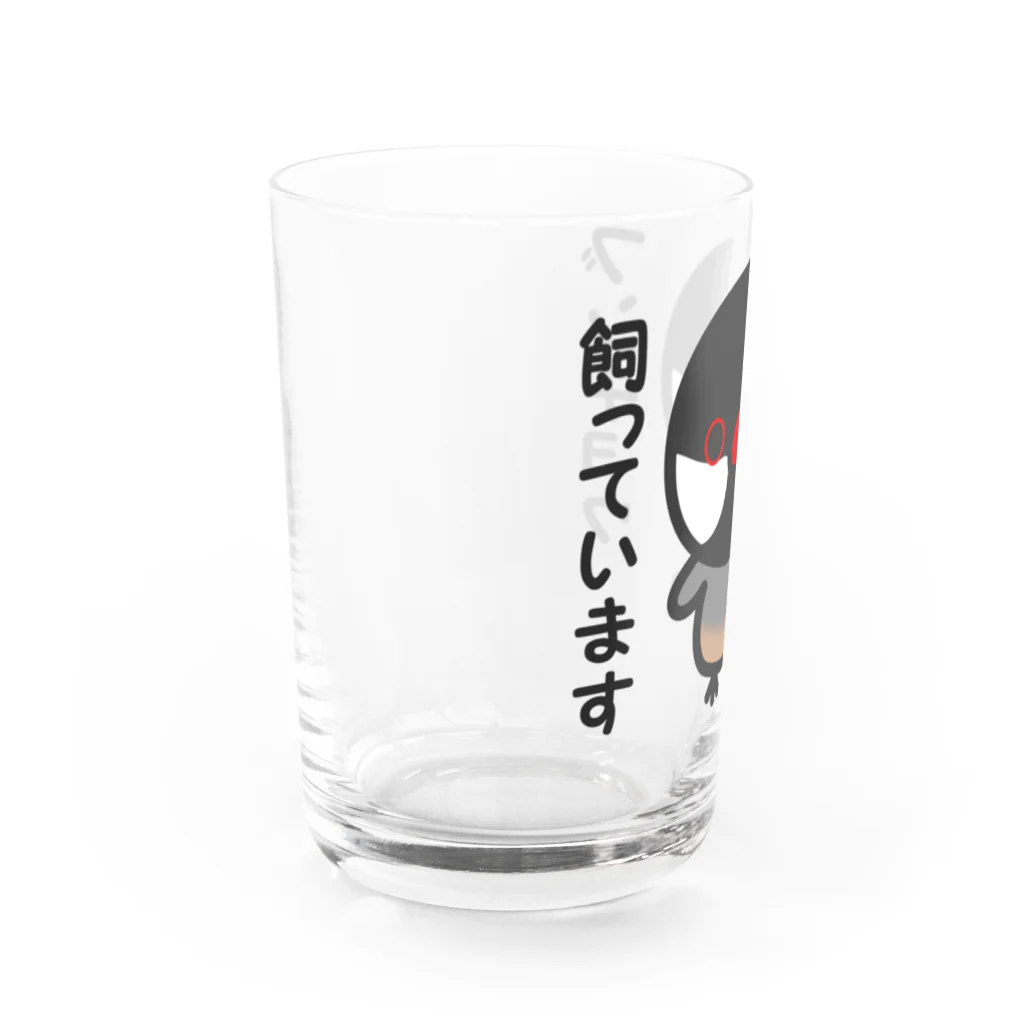 いんこ屋堂のブンチョウ飼っています（ノーマル文鳥） Water Glass :left