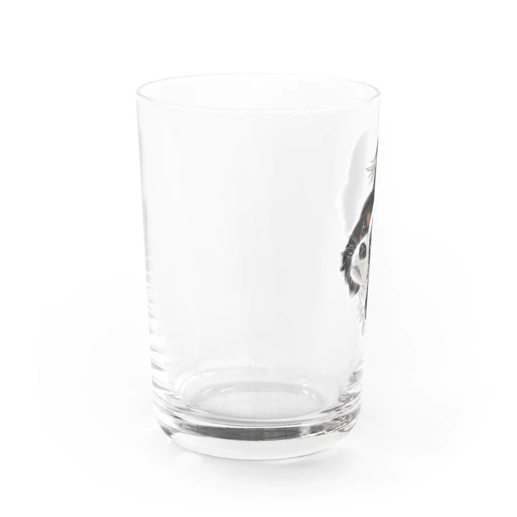 Shimiyasuのキャバリア№01 トライカラー Water Glass :left