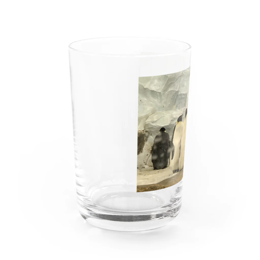 玉手箱のラブラブペンギン Water Glass :left