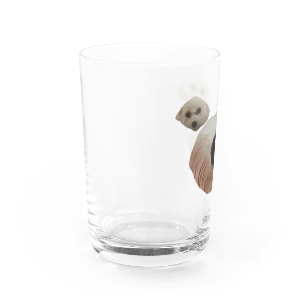 FUJIMARU's × NECODOMOのふじまる Water Glass :left