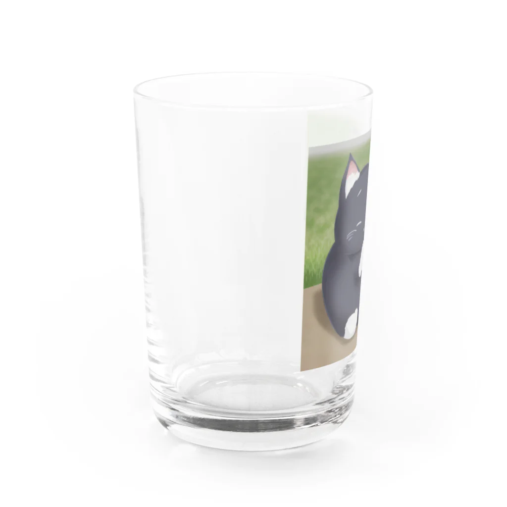 たあさむ@カウンセラーの癒しの猫ちゃん Water Glass :left