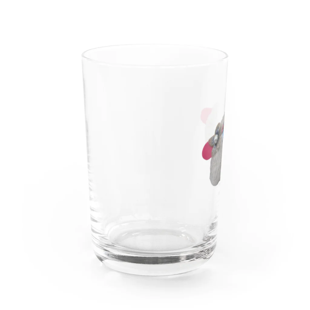 ｉｐｕｙａ(イプヤ)のモフモフなギャルちゃん Water Glass :left