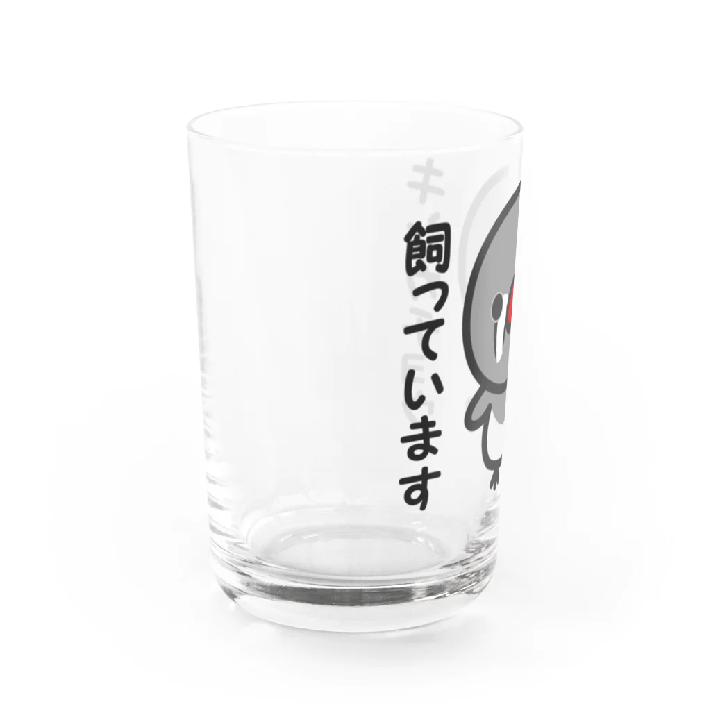 いんこ屋堂のキンカチョウ飼っています（メス） Water Glass :left