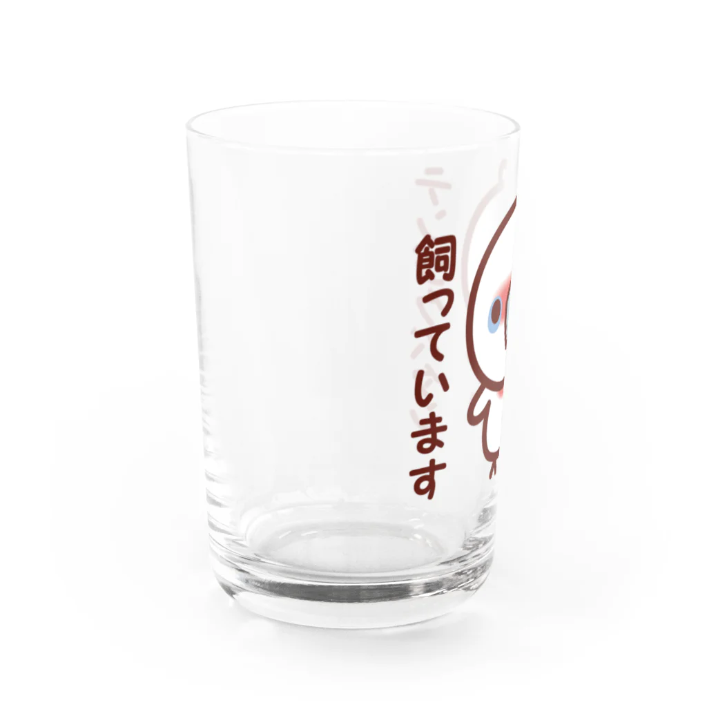 いんこ屋堂のテンジクバタン飼っています Water Glass :left