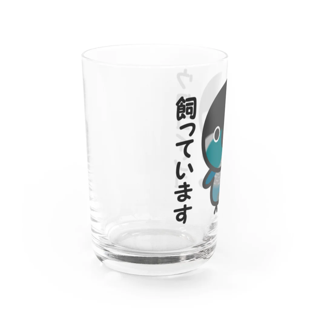 いんこ屋堂のウロコインコ飼っています（ブルー） Water Glass :left