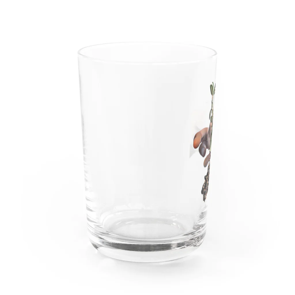 mkt8404のブラータベビー Water Glass :left