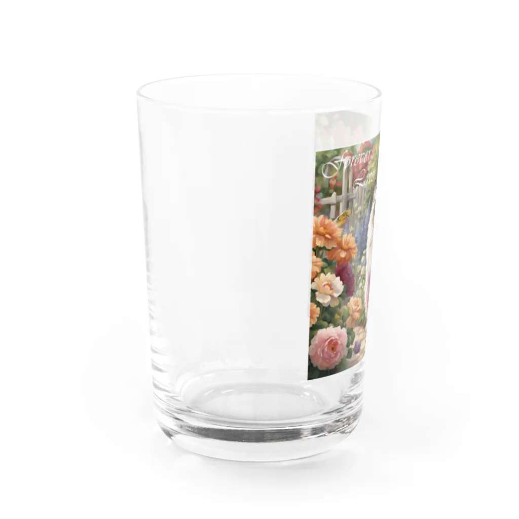 mom✨の最高のラグドール！ Water Glass :left