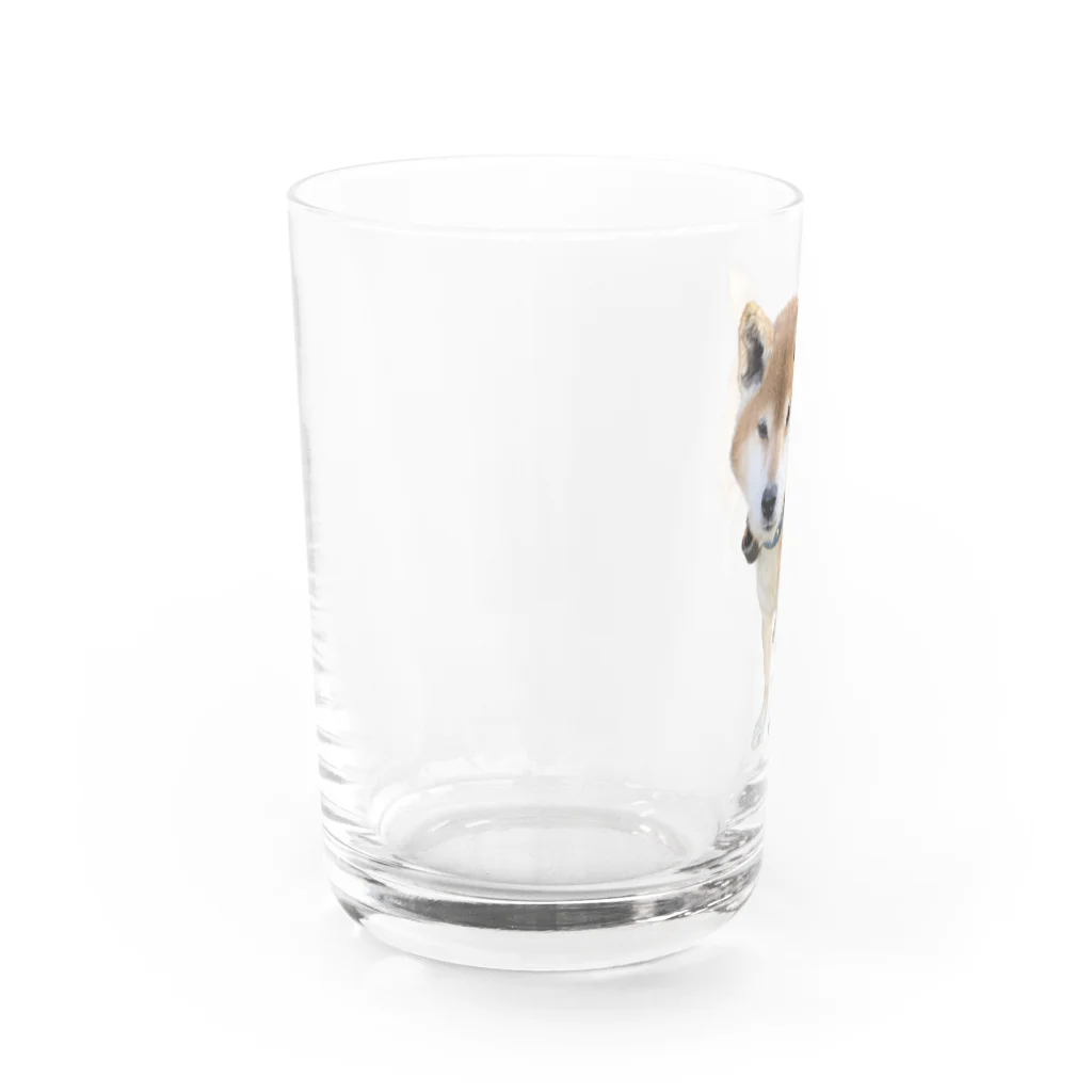 高速道路屋さんのツリ目犬 Water Glass :left