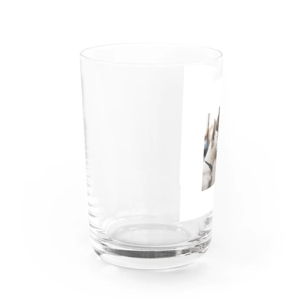 ma114のキスする犬グッズ Water Glass :left