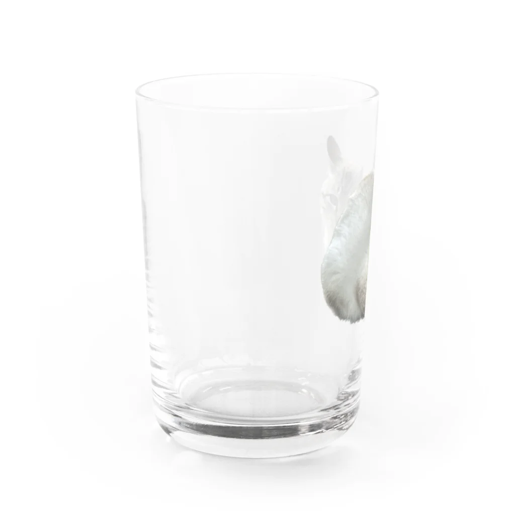 筋肉至上主義者のワイの婆ちゃん家のネッコ Water Glass :left