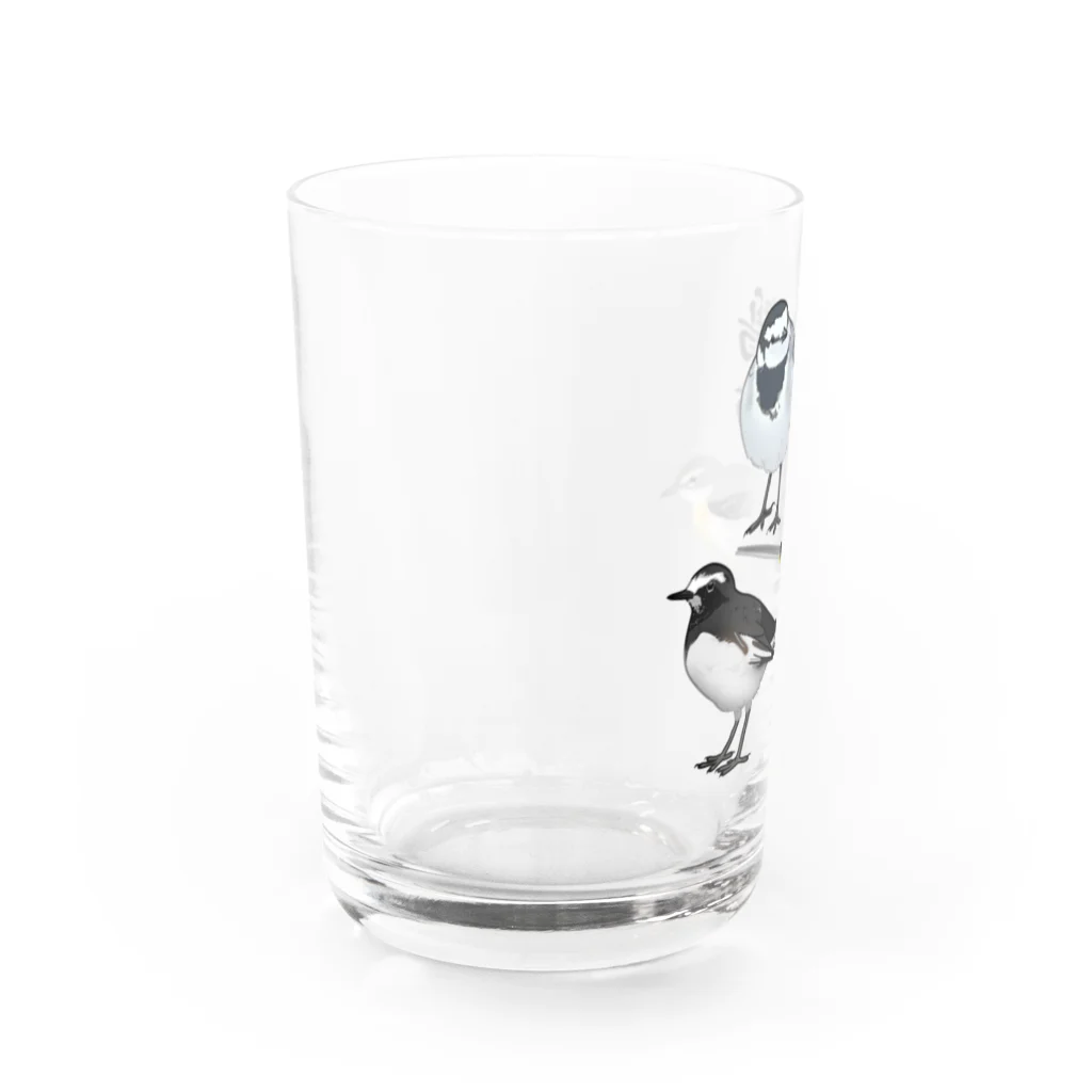 やちよ｜リアル鳥イラストの鶺鴒さん Water Glass :left