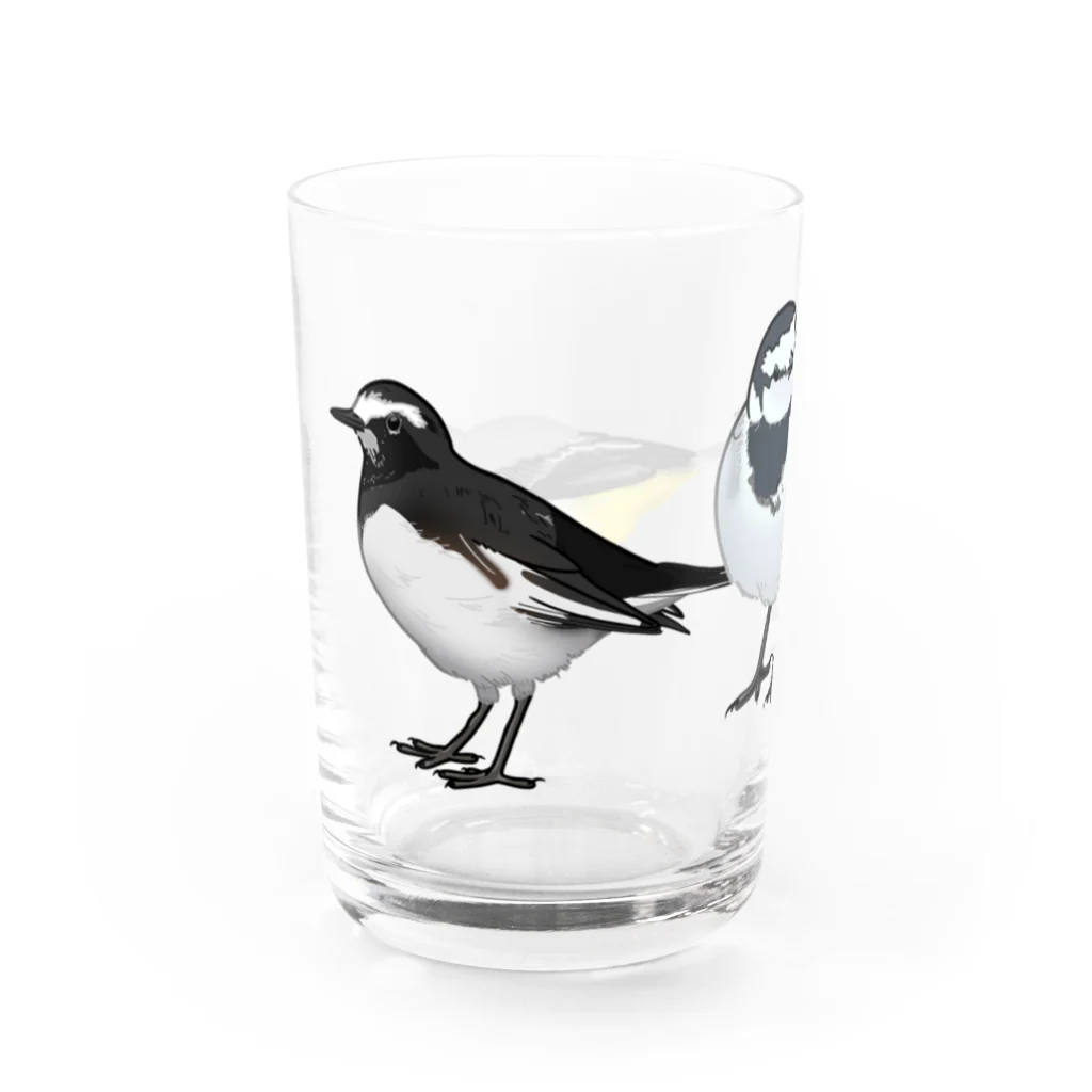 やちよ｜リアル鳥イラストの鶺鴒さん Water Glass :left