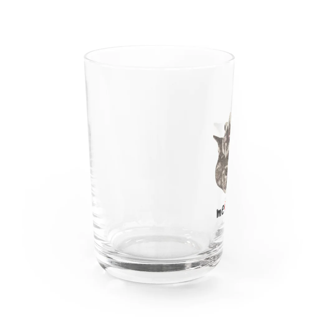 ギジトラ猫のフクちゃんのキジトラ猫のフクちゃん Water Glass :left