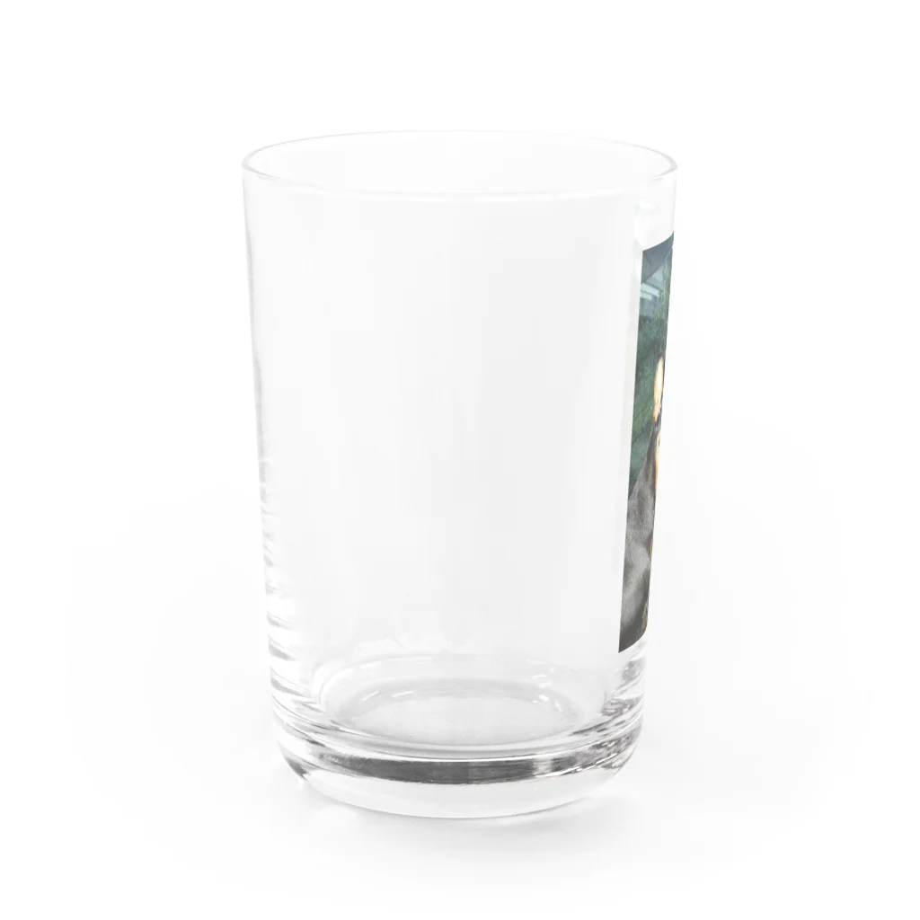 ミニピンショップのミニチュアピンシャーオリジナルグッズ第一弾 Water Glass :left