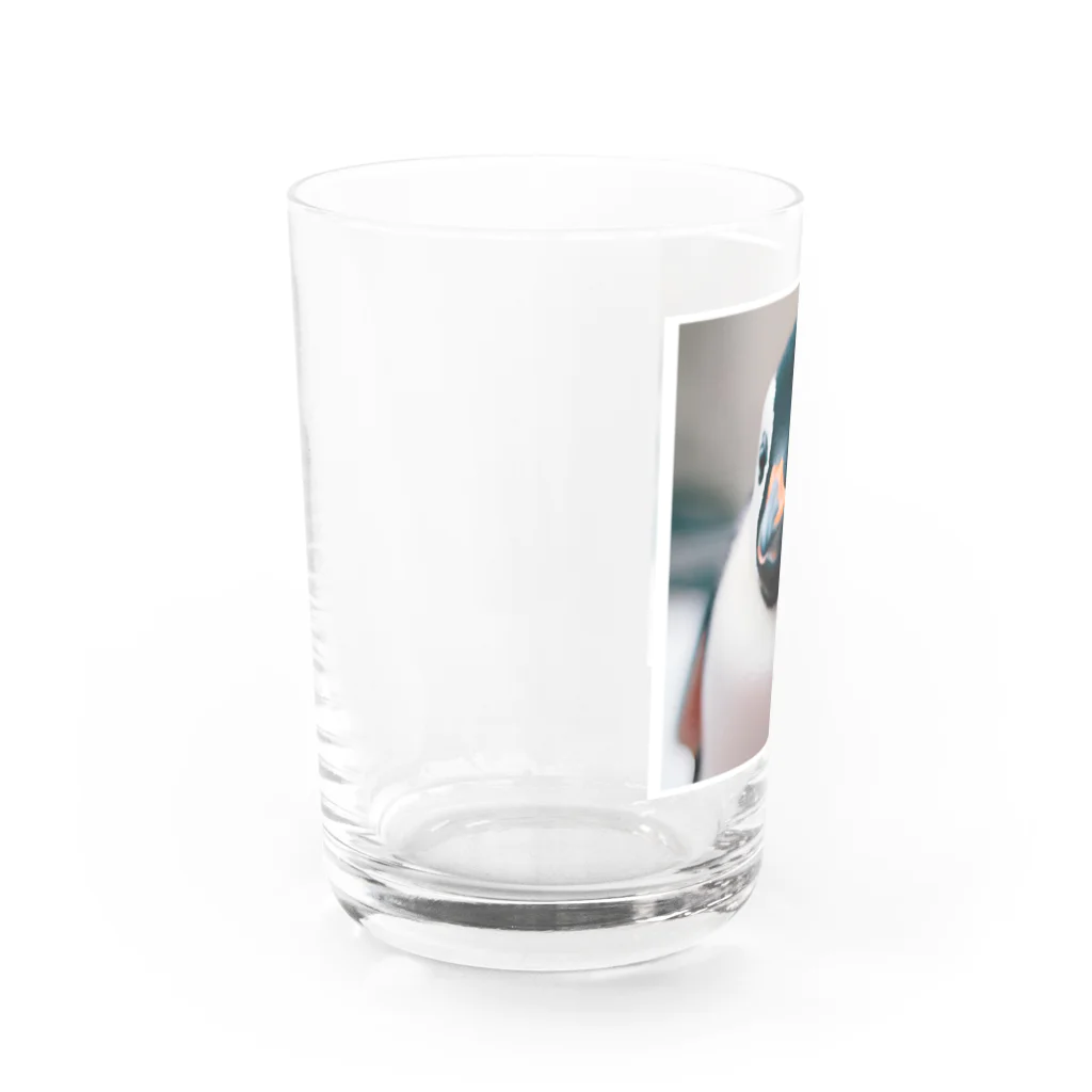 kiyoshi☪︎のペンギンくん(・⊝・) Water Glass :left