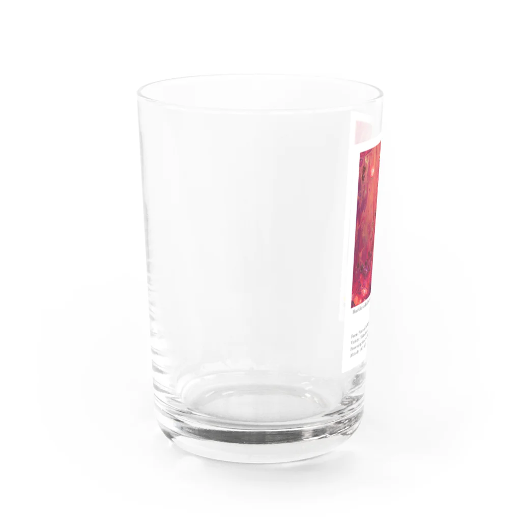 コーヒーのパッケージラベルシリーズのブラジル イパネマ Wine Water Glass :left