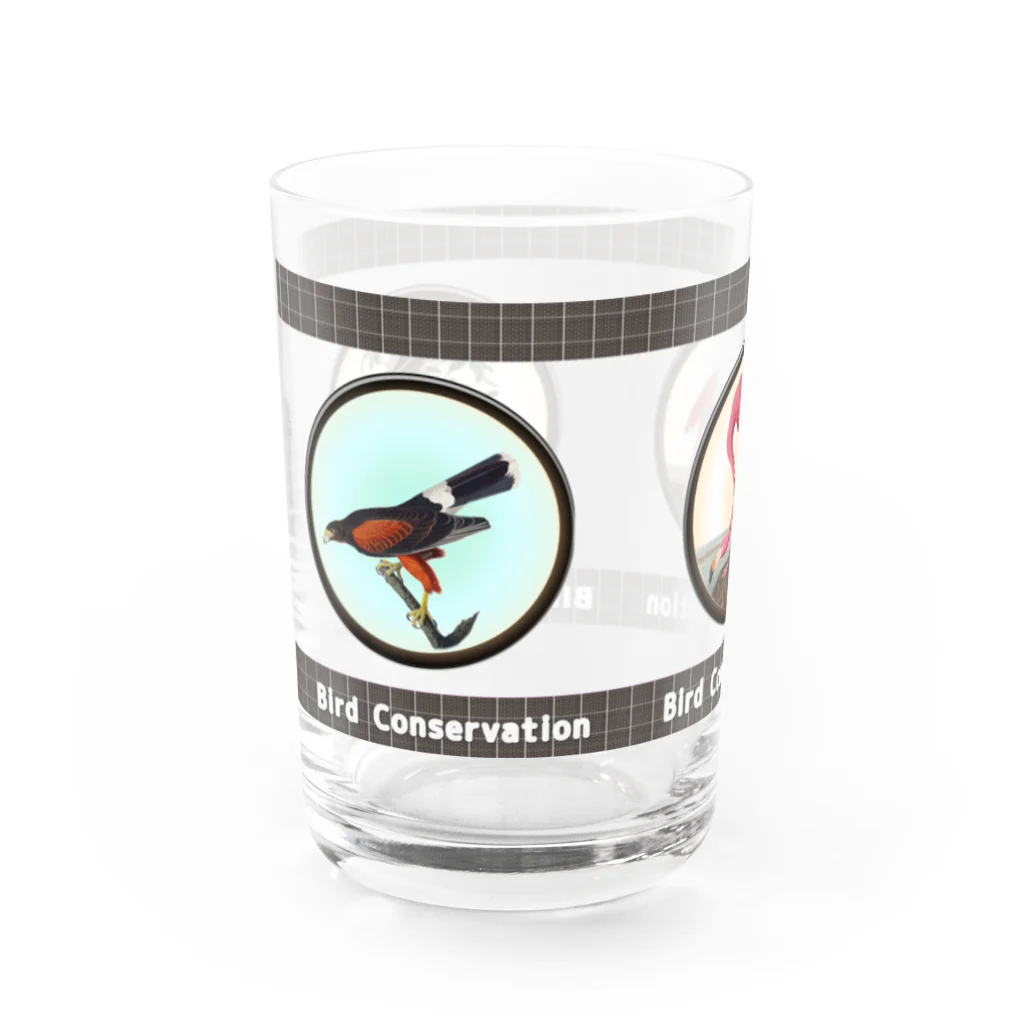 アニマル四字熟語の「Bird conservation」野鳥保護サーモンタンブラー Water Glass :left