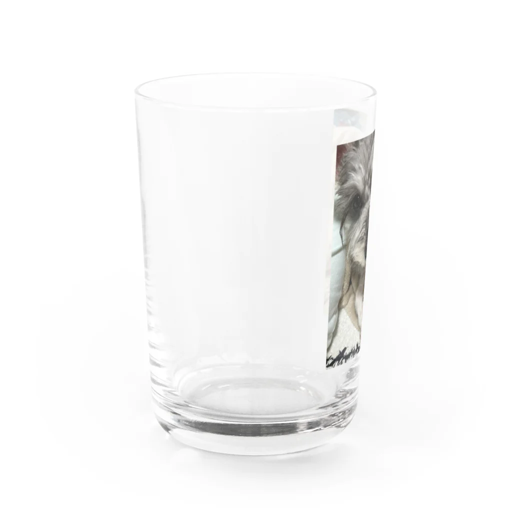 Doji_Maruのお昼寝といぷーりぼ Water Glass :left