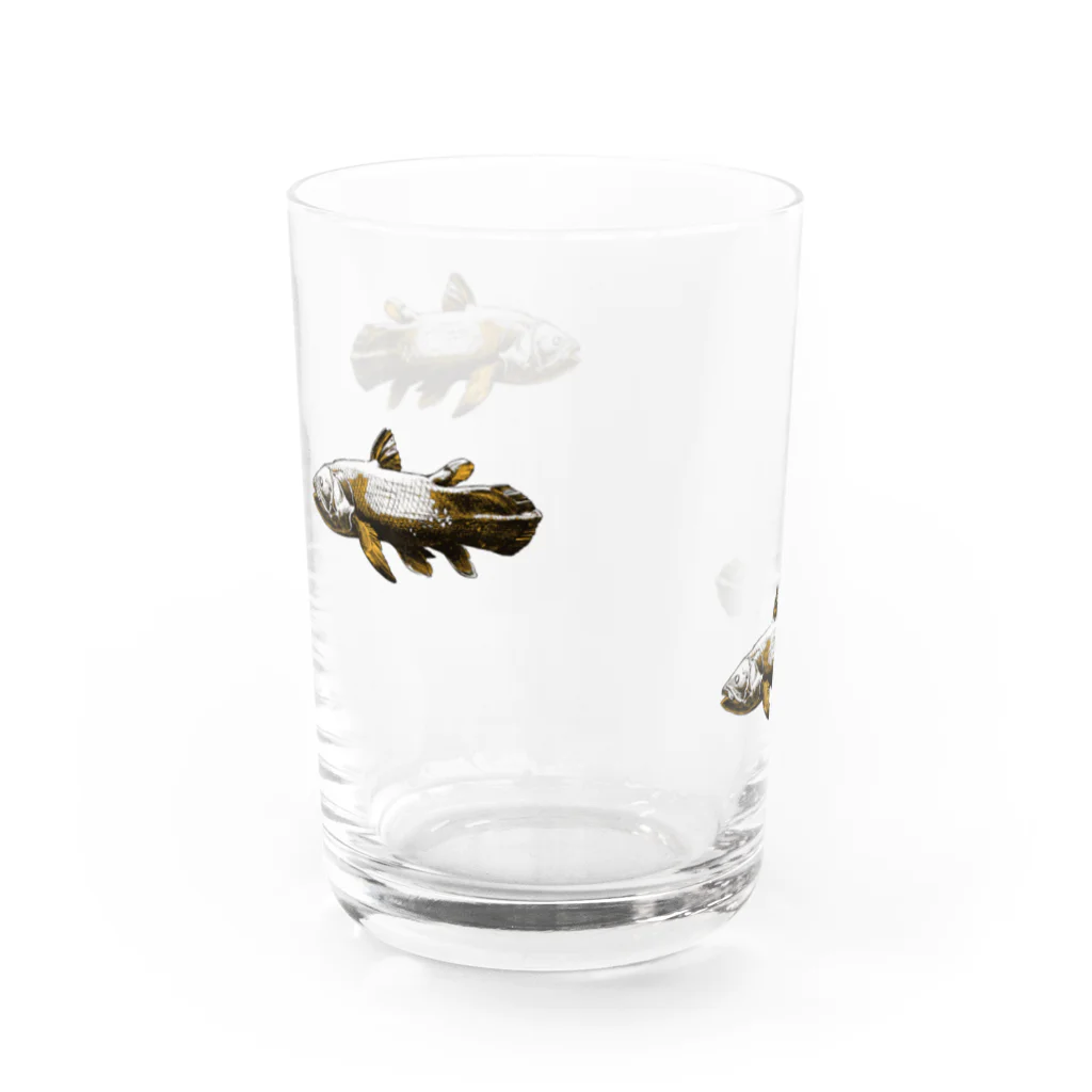 ペチッタぺチットのシーラカンス Water Glass :left