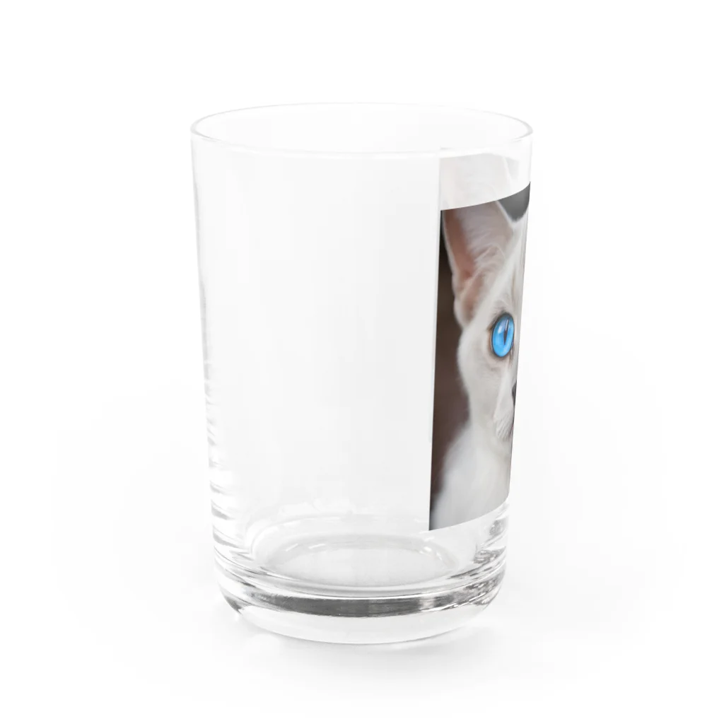 ソラトラの青目の猫 Water Glass :left