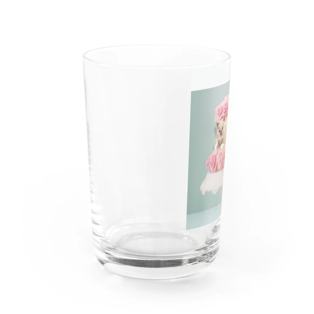 atelier_mogのケーキスタンド×ノア Water Glass :left