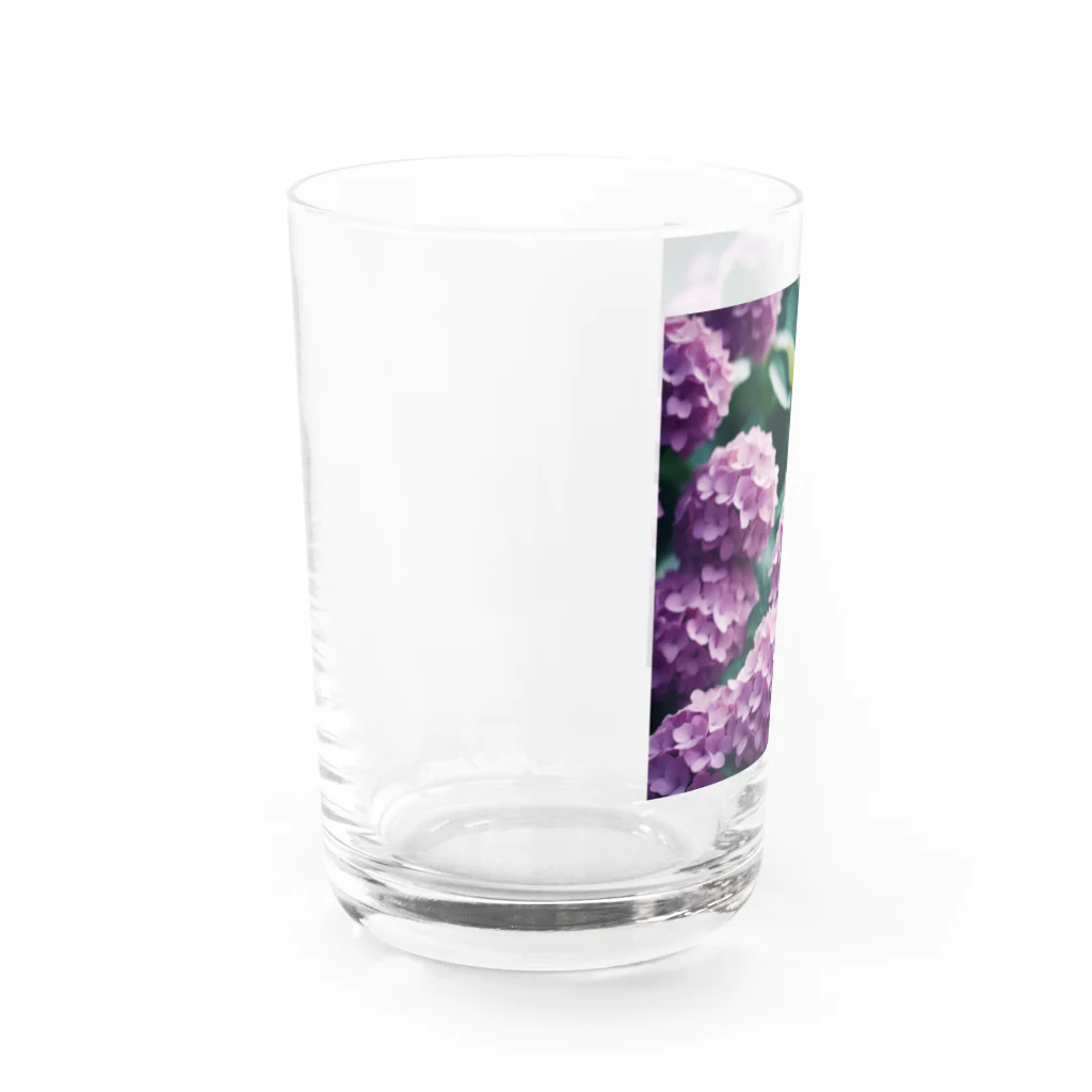 neat55のアジサイの球状の花房 Water Glass :left