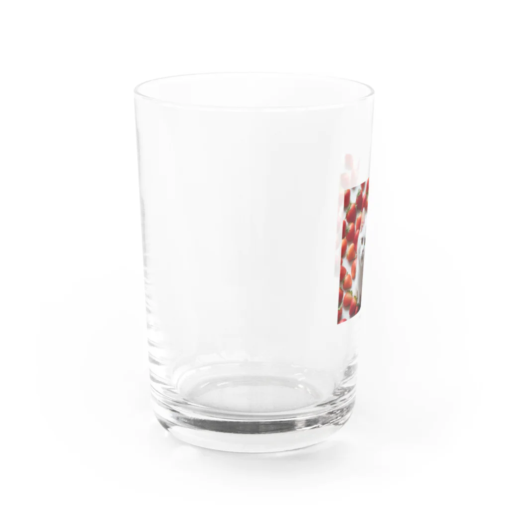 kiryu-mai創造設計のいちごねこ・スクエア Water Glass :left