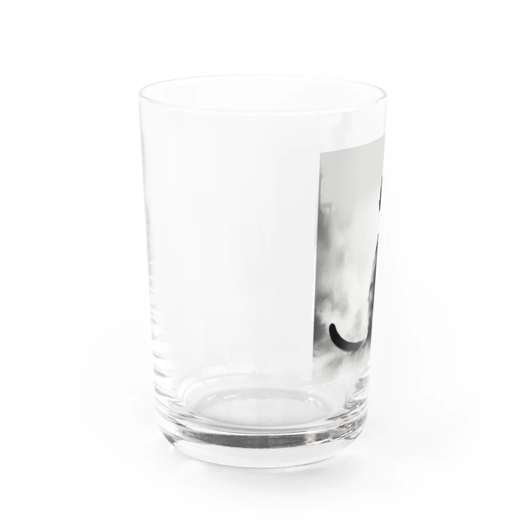 mamachanxxxの謎めいたモノクロねこ Water Glass :left