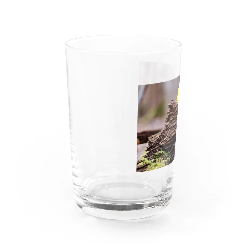 羽田ベースのぽんぢ君ga生えたよ Water Glass :left