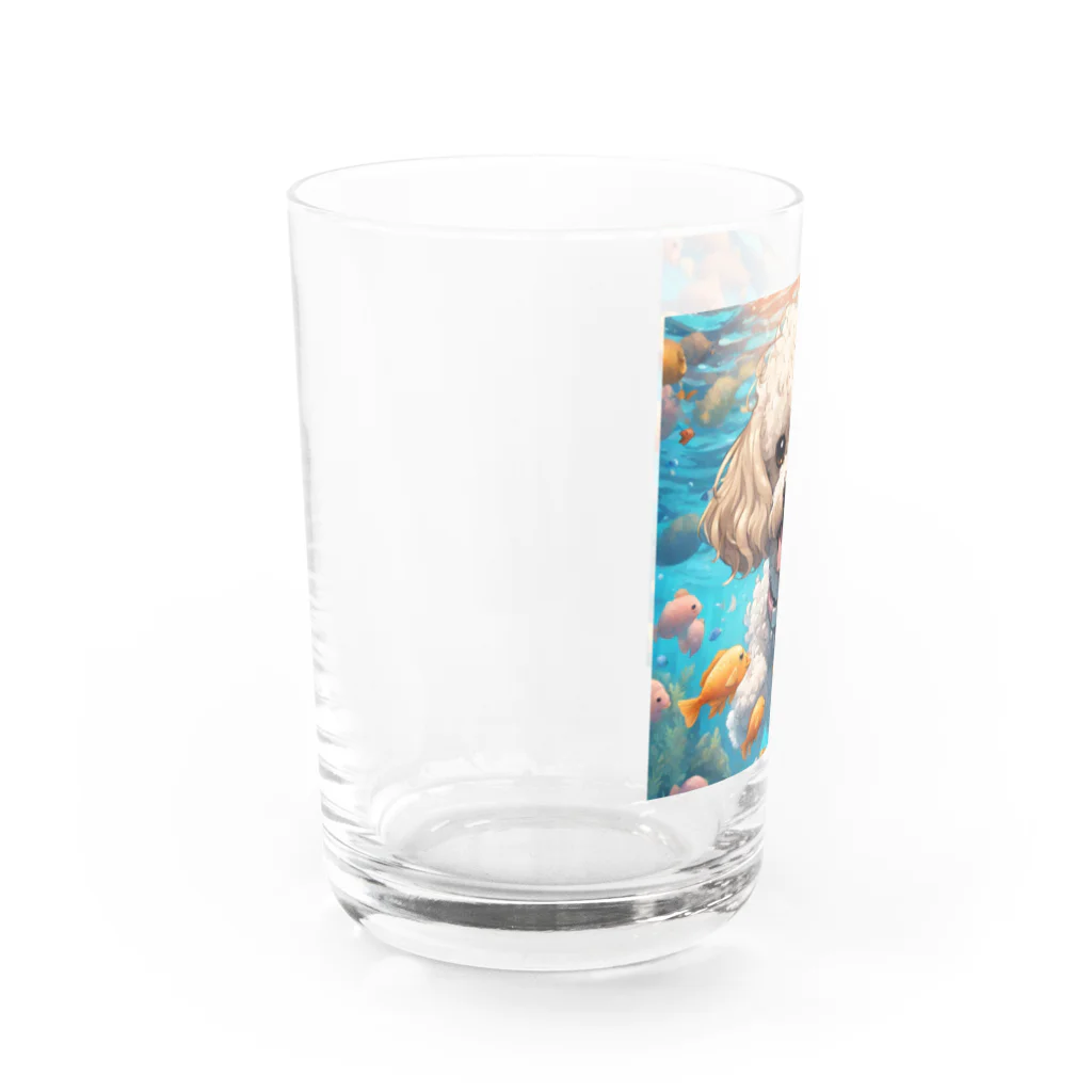 ワンちゃん大好きの熱帯魚と遊ぶトイプードル Water Glass :left