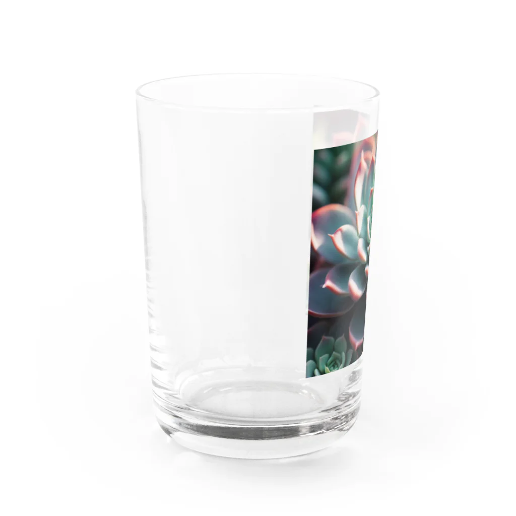 maroramu04のエケベリア１ Water Glass :left