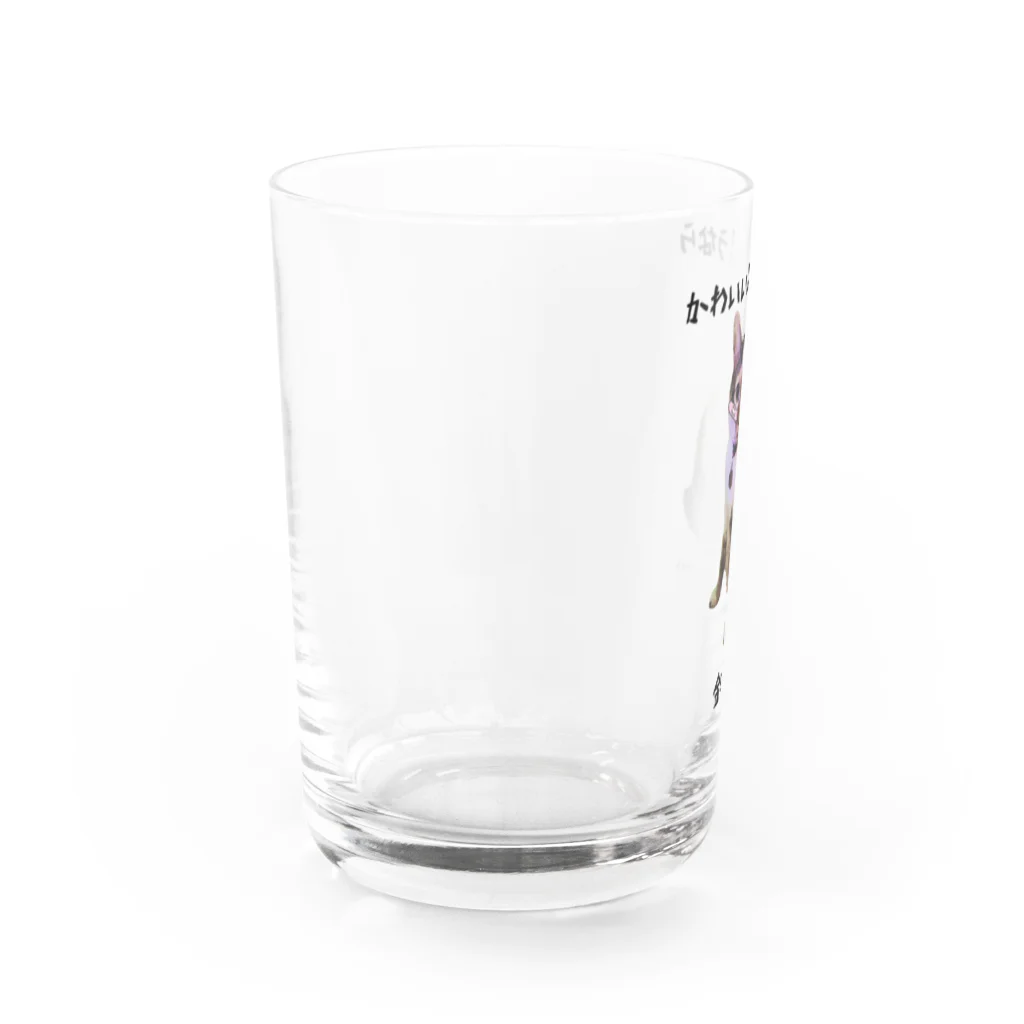 torahiva89のミケ猫ひばり Water Glass :left