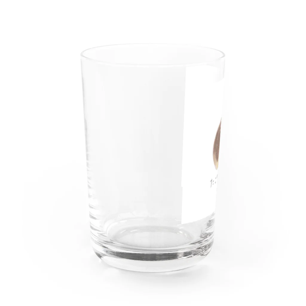 Sky_fumiのたこやきさんのやさしいTシャツたち Water Glass :left