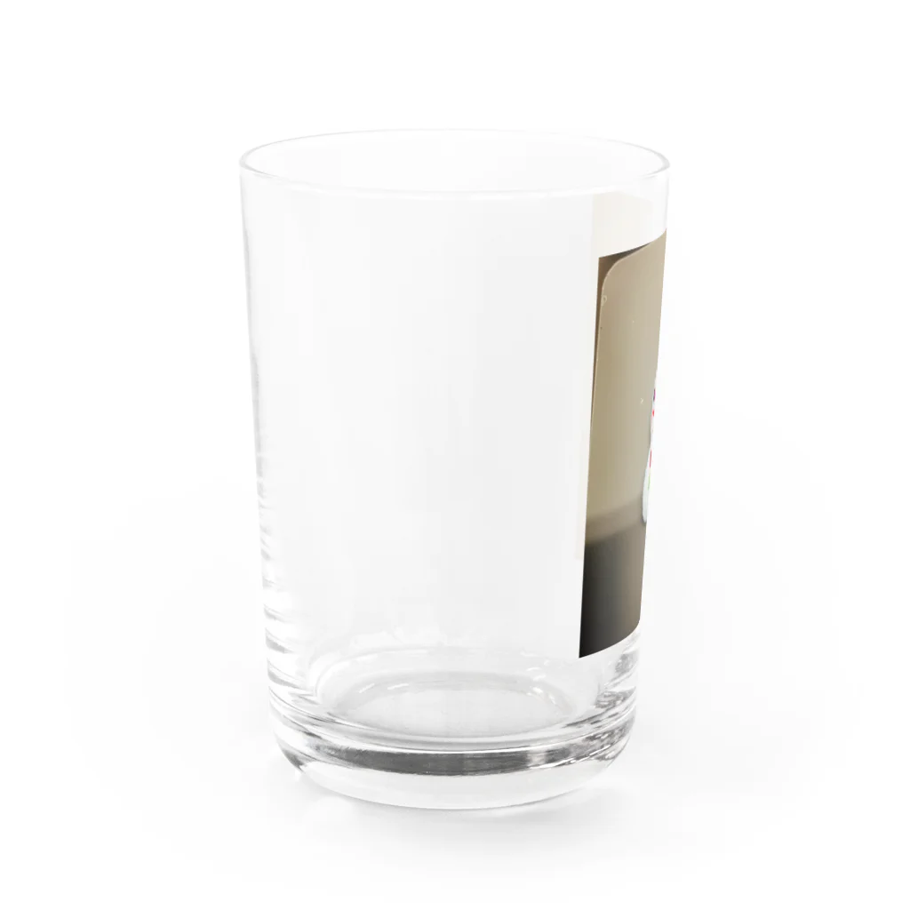 ポメラニアンのアリスくんの雪だるまの東海さん Water Glass :left