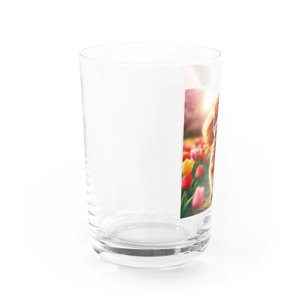 ストア・ザ・ダッチのトイプードルグッズ Water Glass :left