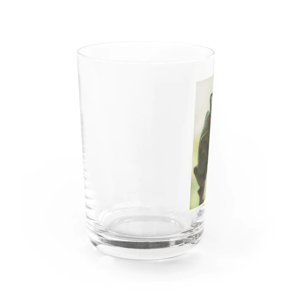 可愛い動物のカメレオン Water Glass :left