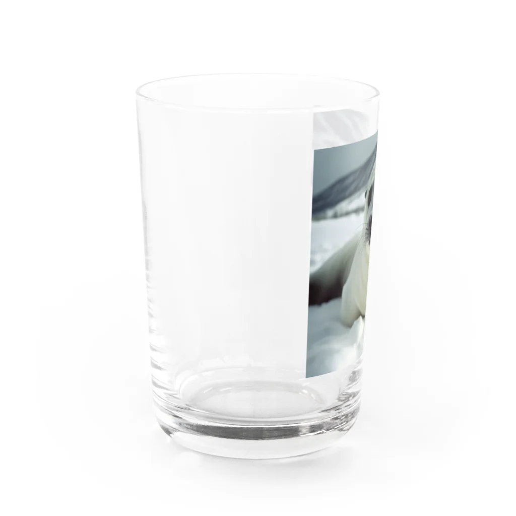 monkeyGの雪見大福みたいなアザラシ Water Glass :left