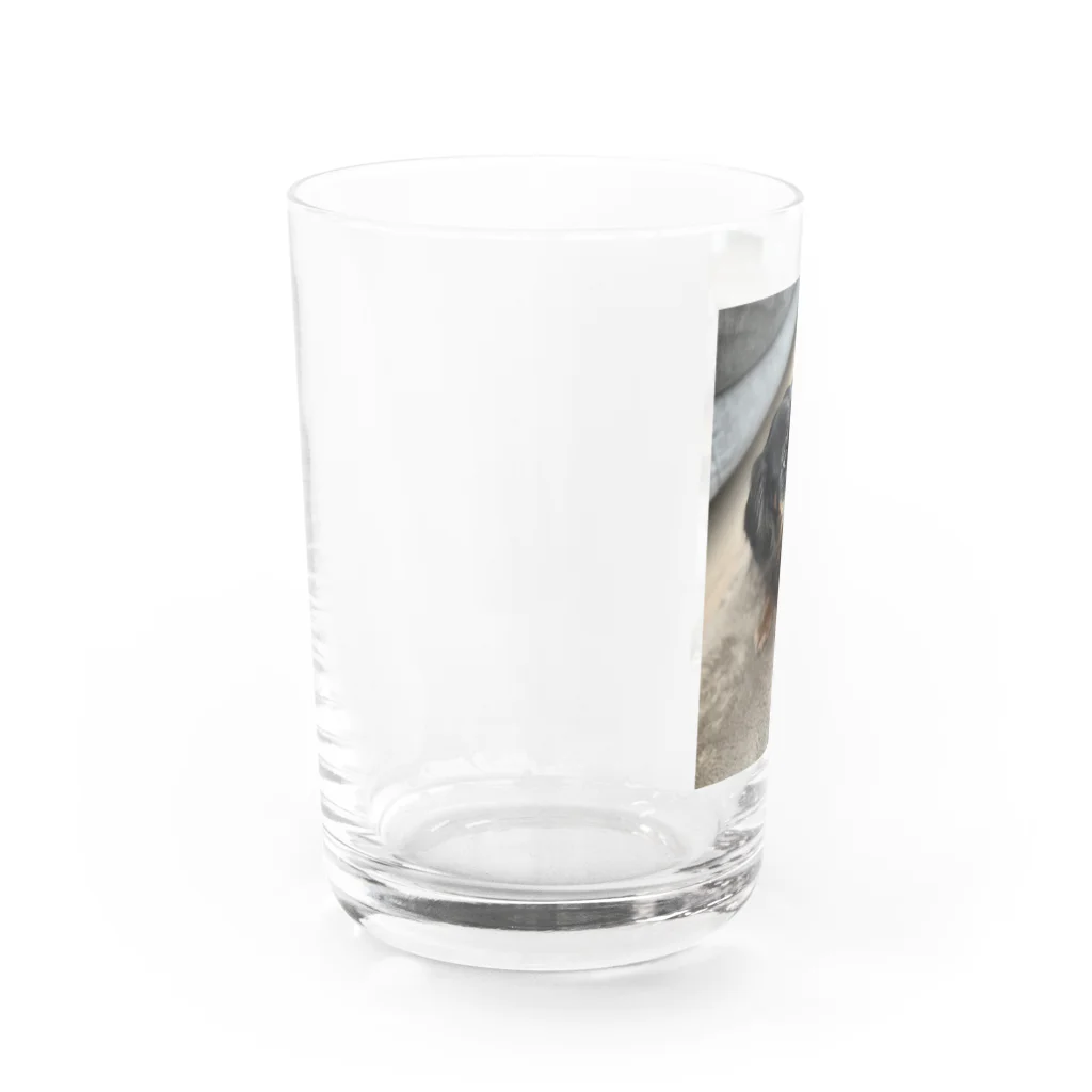 Kawaii-Animaru-Storeの犬 Water Glass :left