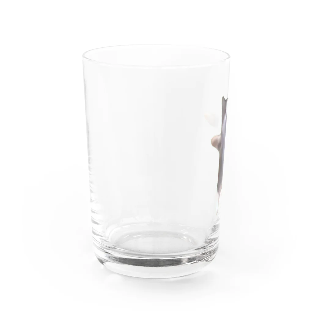 猫ミームグッズの【猫ミーム】Happy Happy Cat Water Glass :left