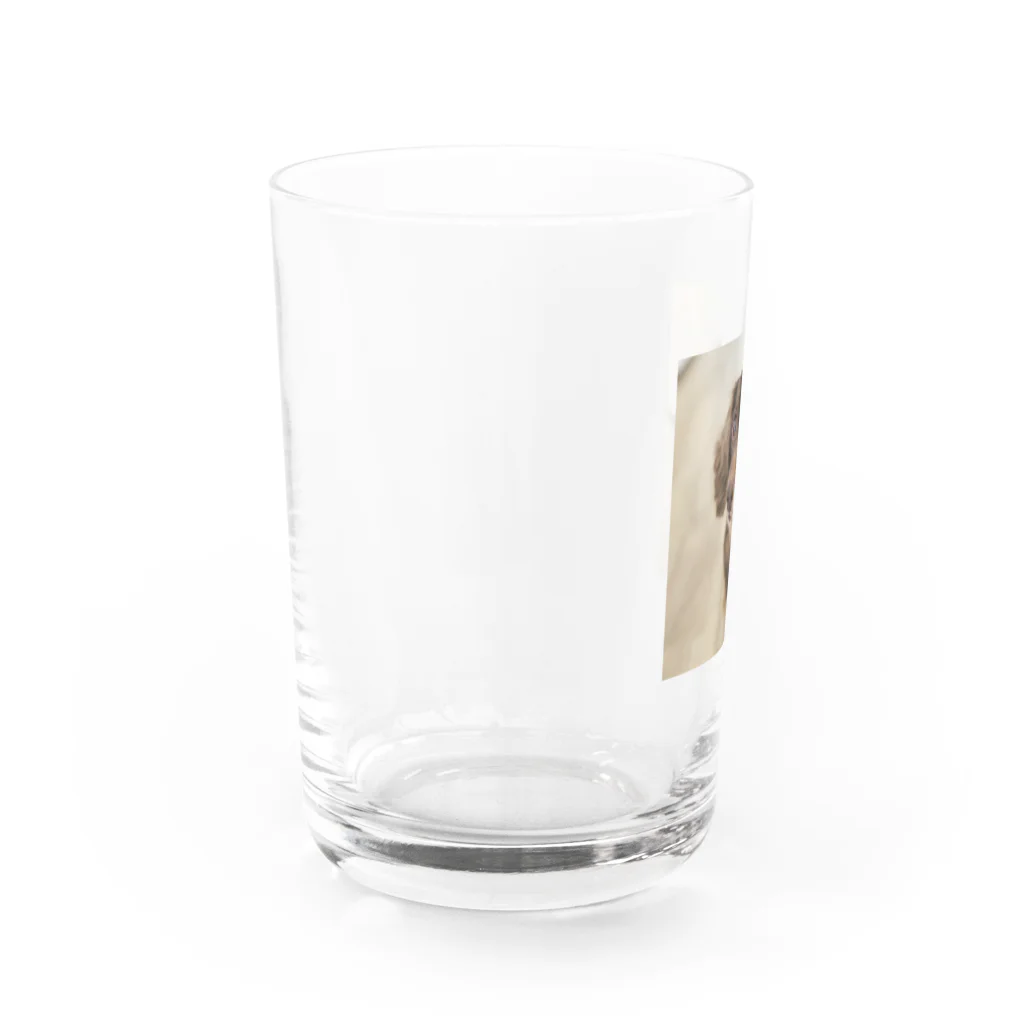 マリアの愛犬マリア Water Glass :left