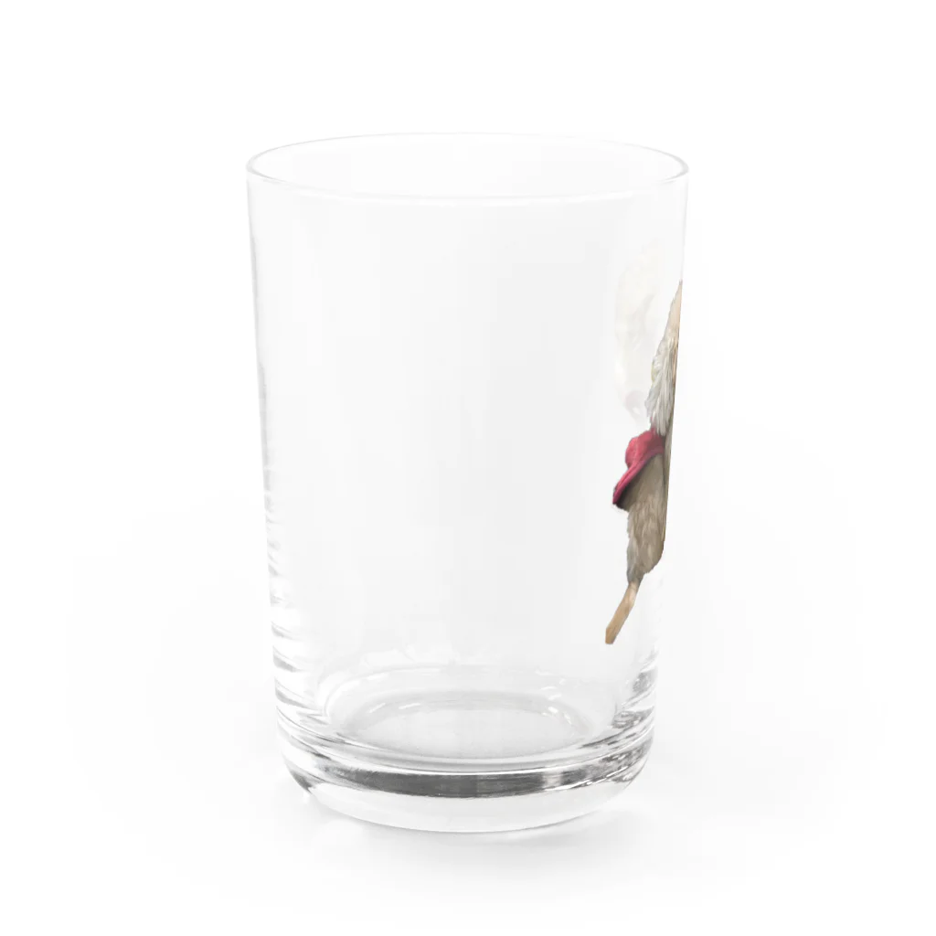 Ruice-Iceの犬　ガジガジ Water Glass :left