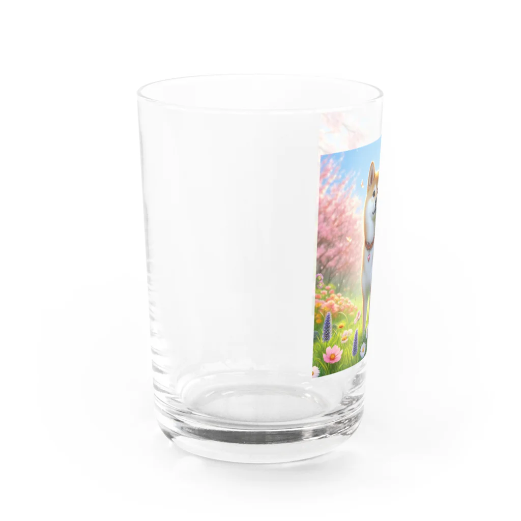 ANTARESの春の柴犬の冒険 Water Glass :left