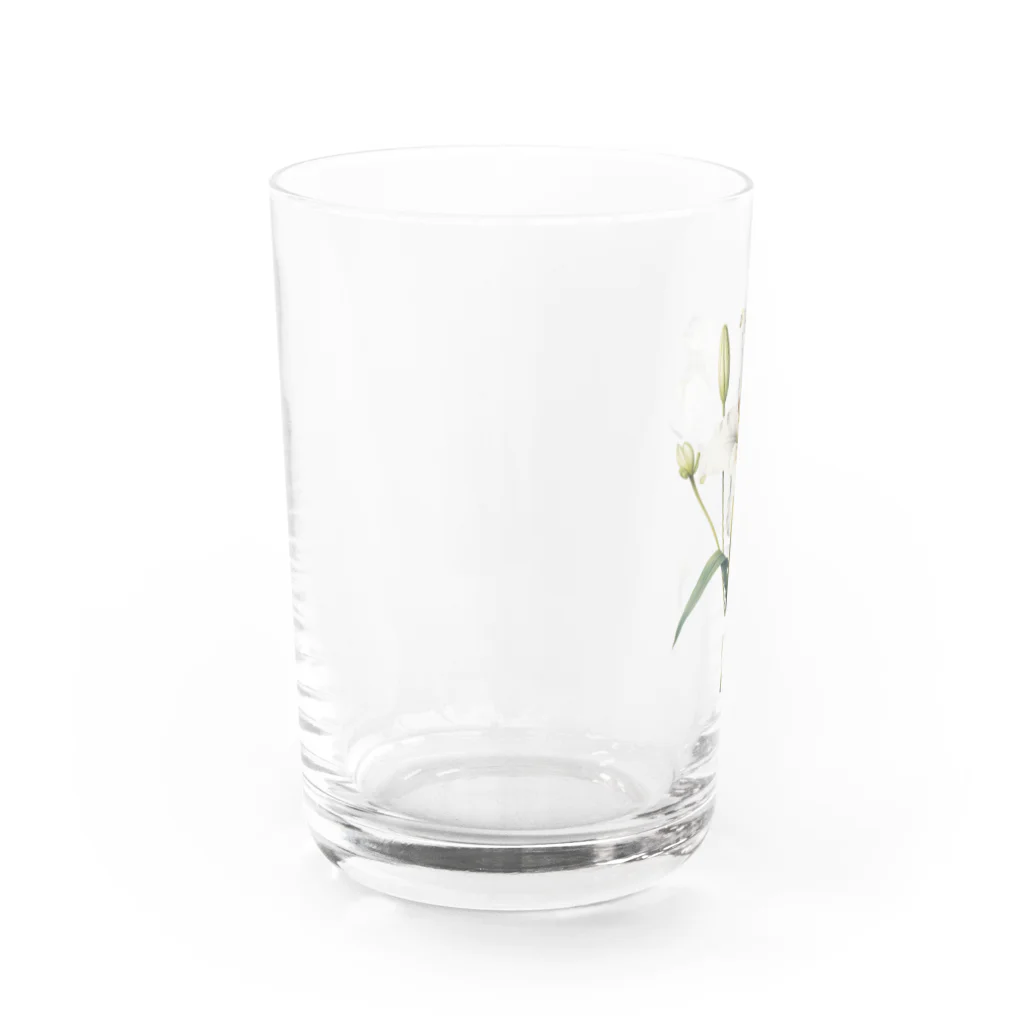 Q_kyuのアンティークリリー Water Glass :left