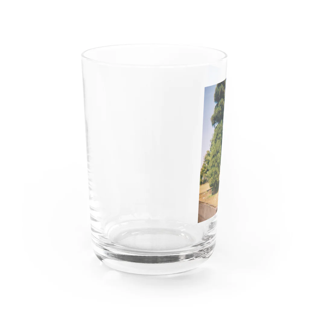 Tataのhome town 2 Water Glass :left