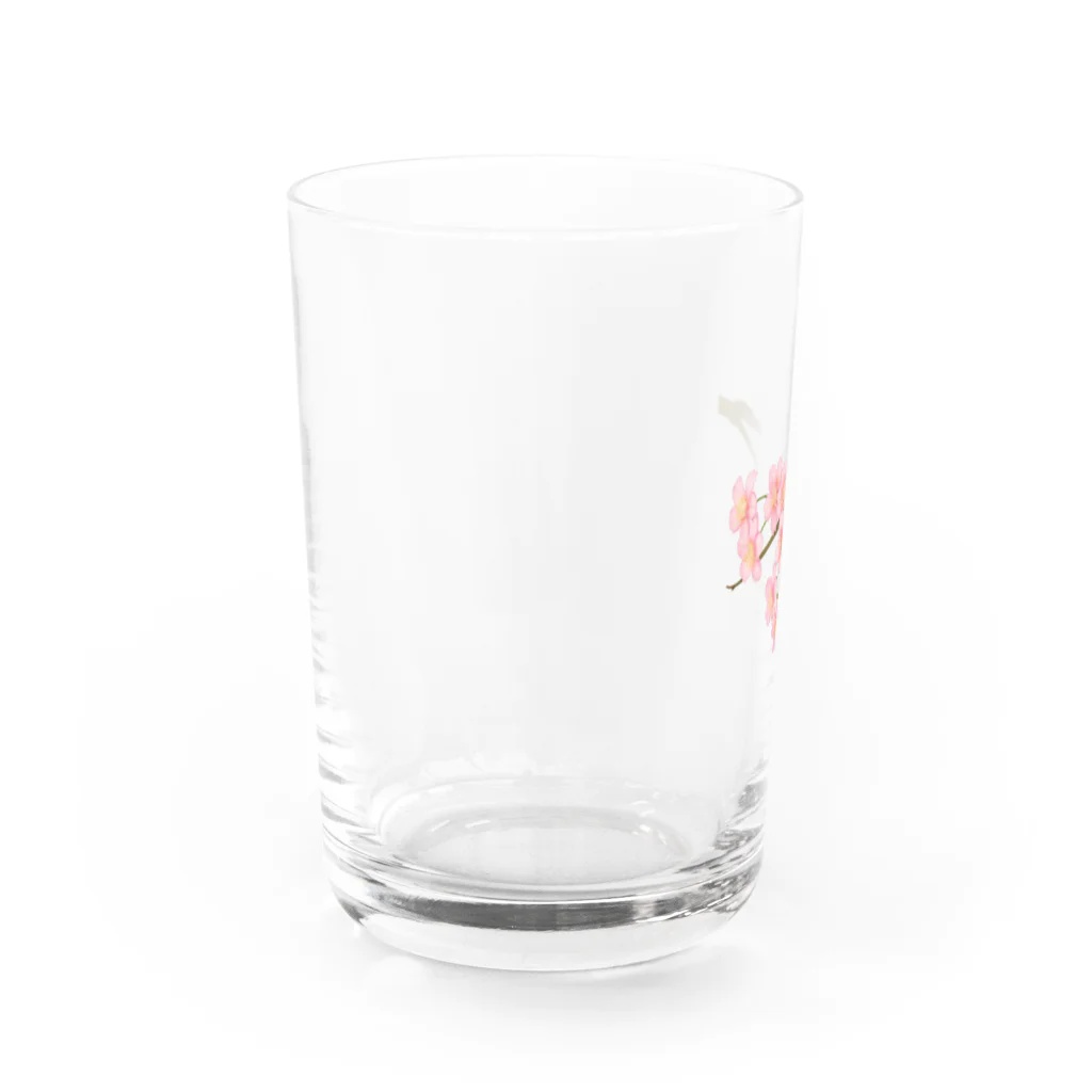 紅藤コミミズクの桜 Water Glass :left