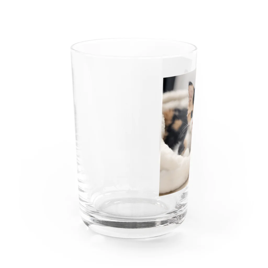 癒しリフレッシュの愛らしい子猫ちゃん Water Glass :left